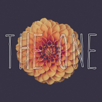 The One - Full Cover cover